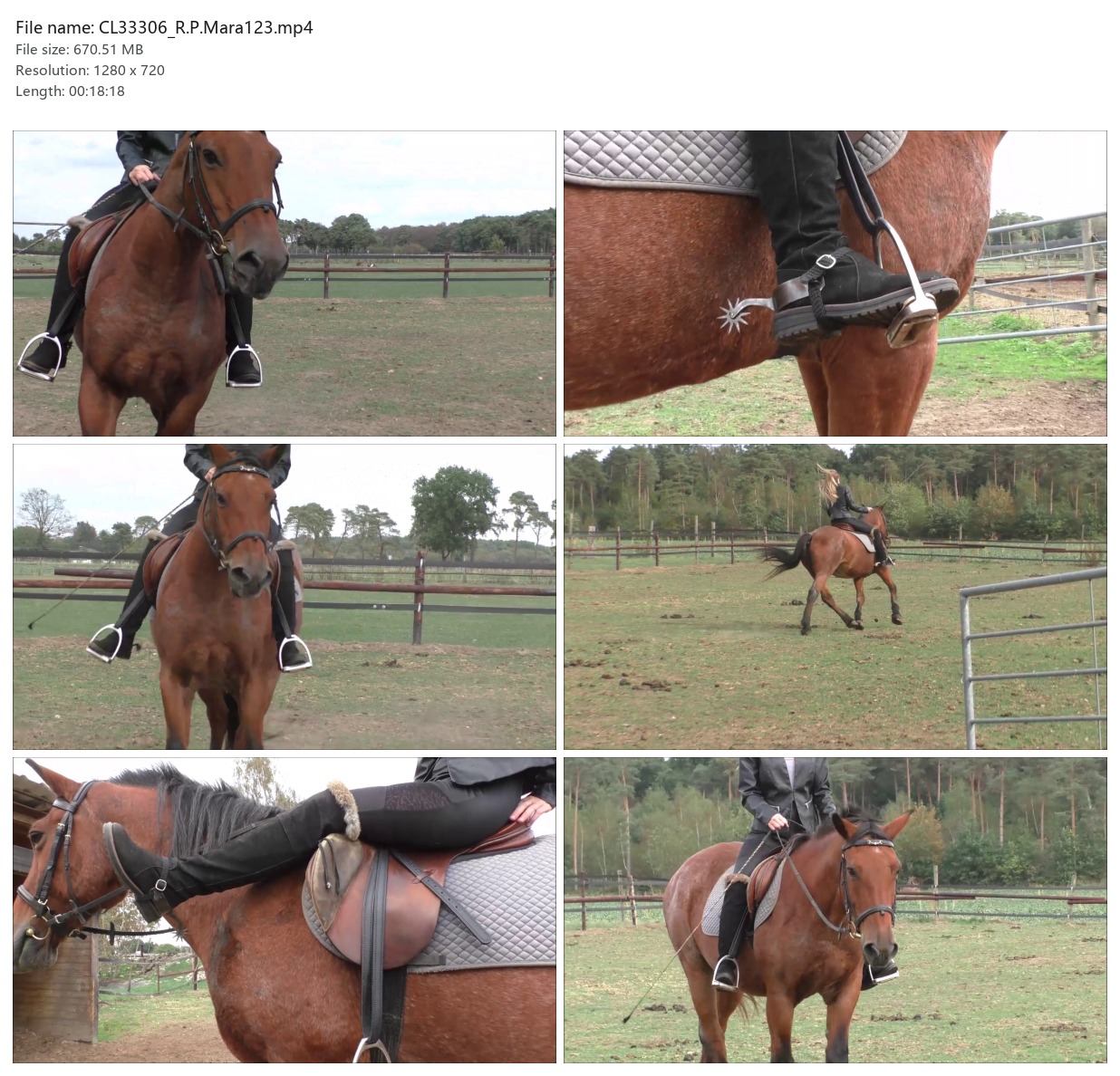 CL33306_R.P.Mara123.mp4_2x3.jpg