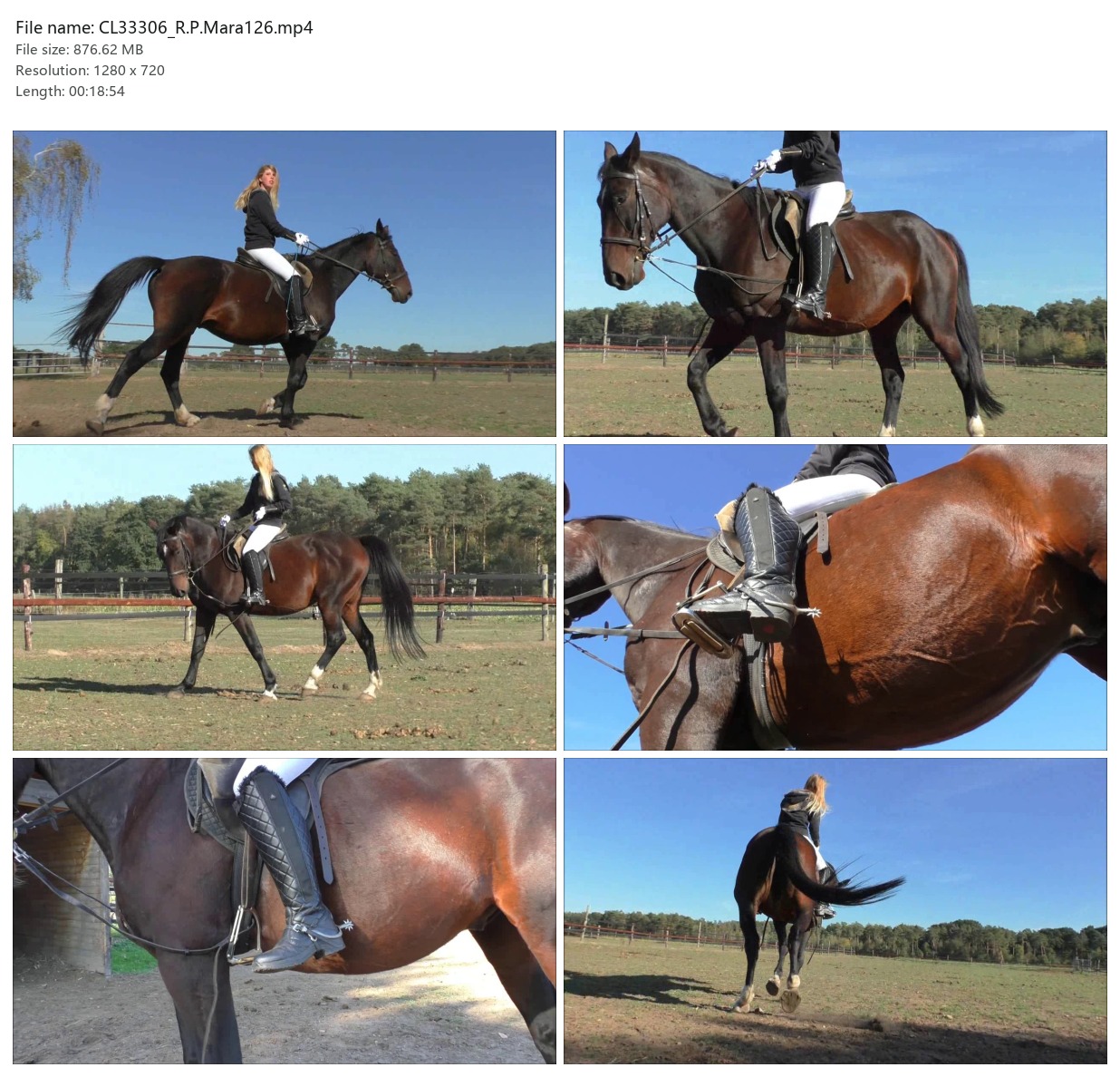 CL33306_R.P.Mara126.mp4_2x3.jpg