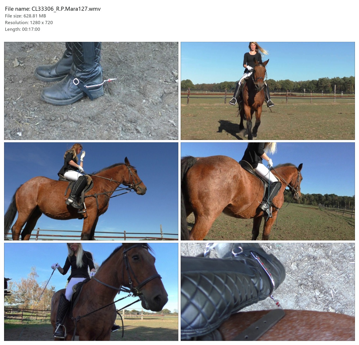 CL33306_R.P.Mara127.wmv_2x3.jpg