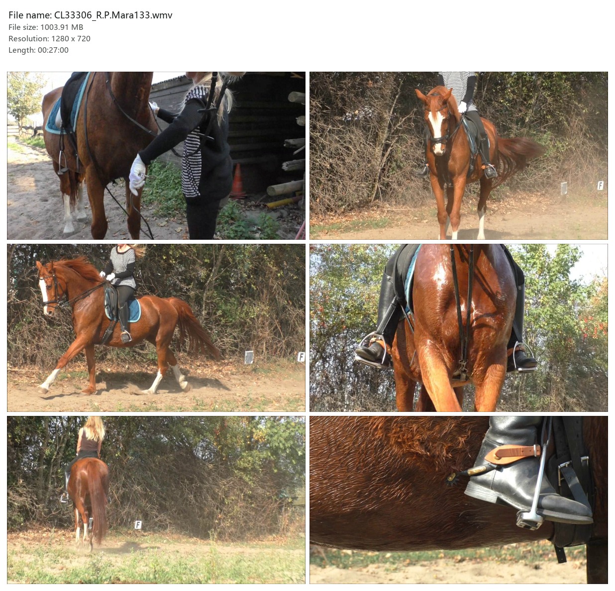 CL33306_R.P.Mara133.wmv_2x3.jpg