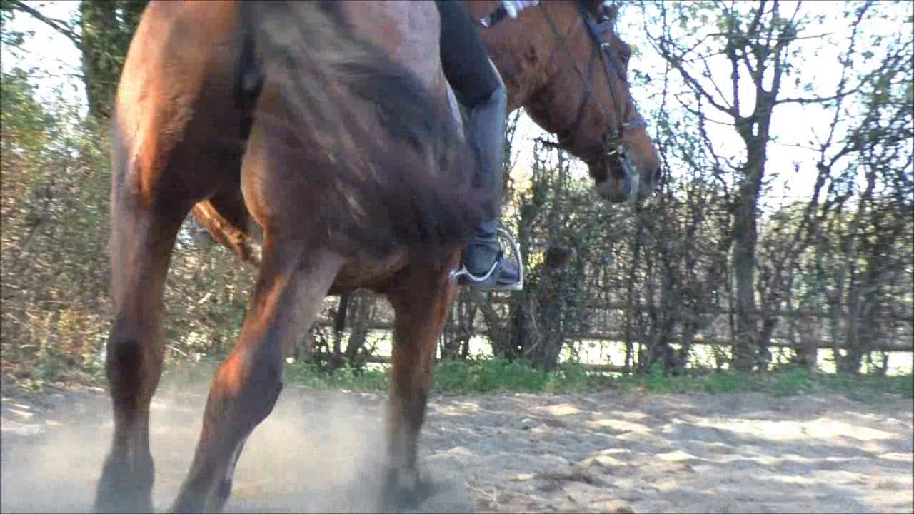 CL33306_R.P.Mara135.wmv_random_01.jpg