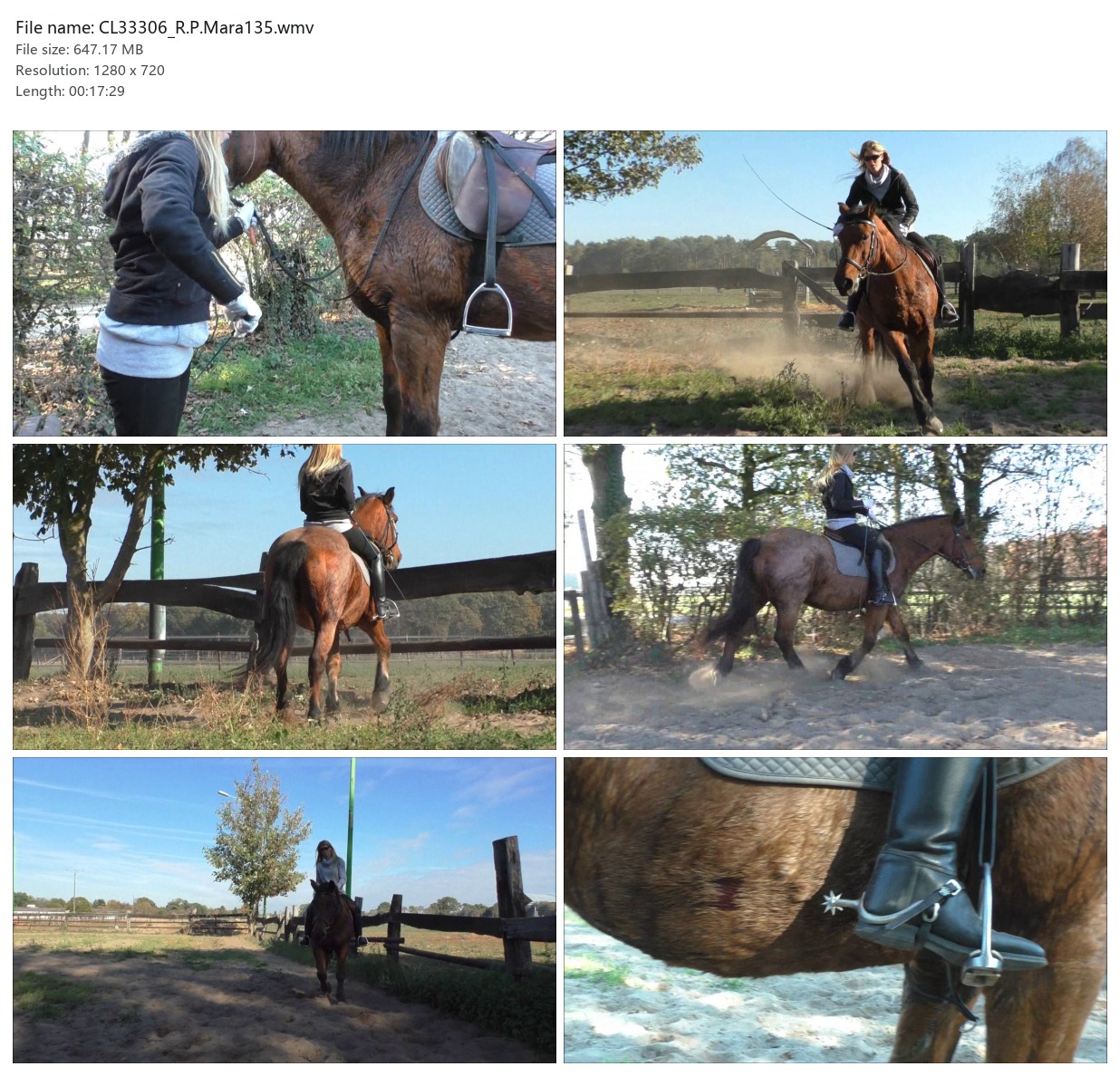 CL33306_R.P.Mara135.wmv_2x3.jpg