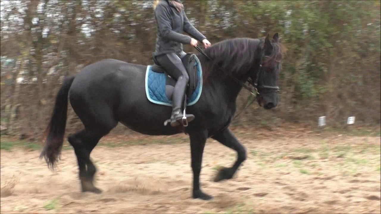 CL33306_R.P.Mara137.wmv_random_01.jpg