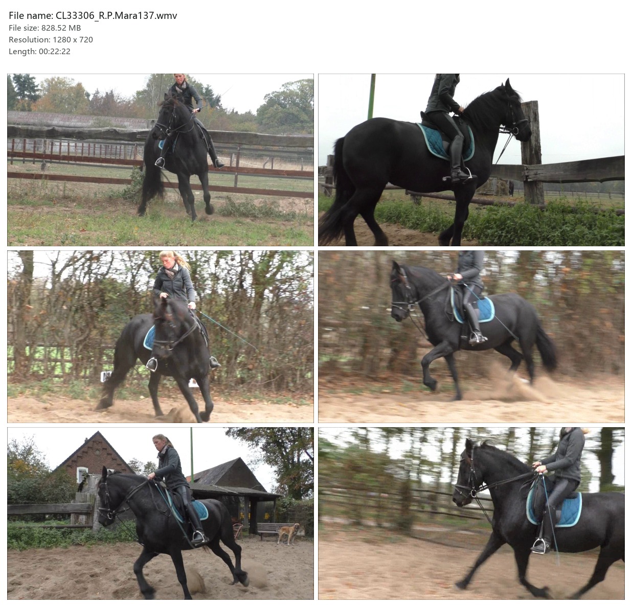 CL33306_R.P.Mara137.wmv_2x3.jpg
