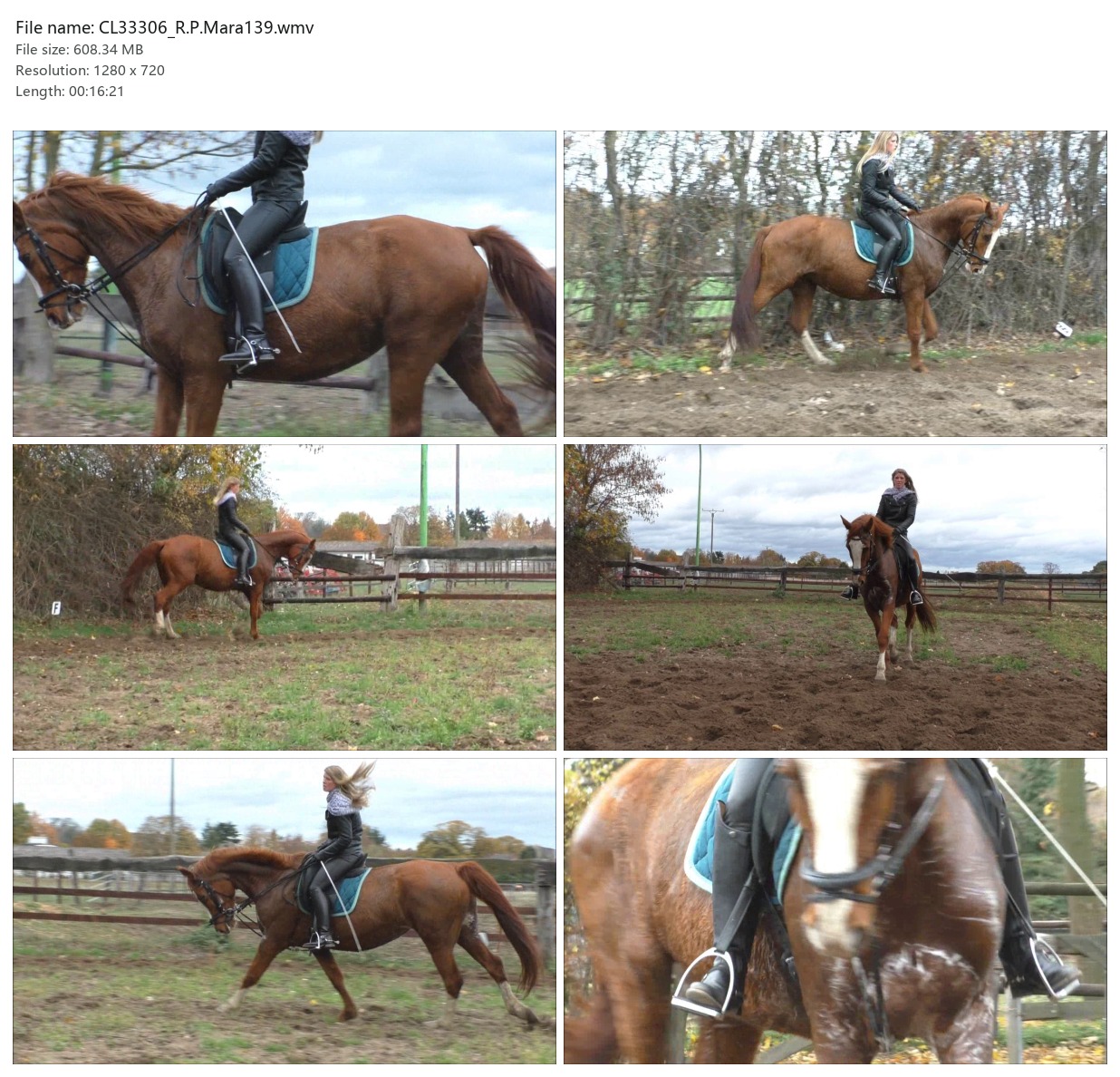 CL33306_R.P.Mara139.wmv_2x3.jpg