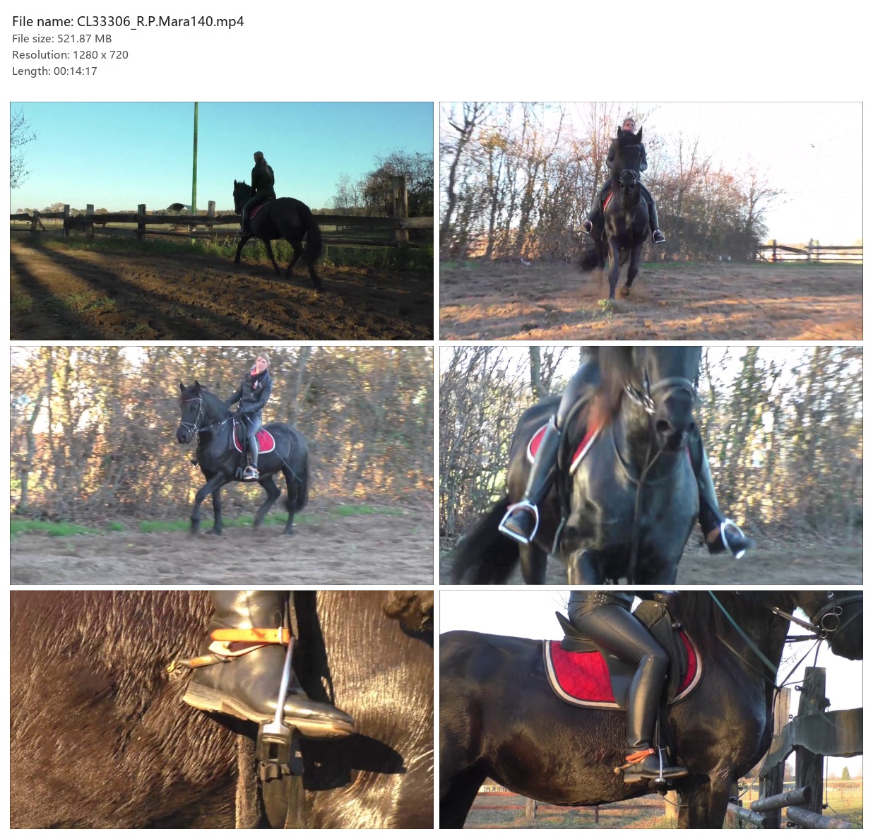 CL33306_R.P.Mara140.mp4_2x3.jpg