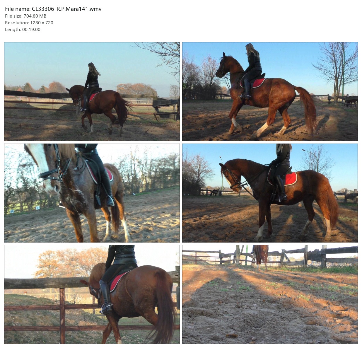 CL33306_R.P.Mara141.wmv_2x3.jpg