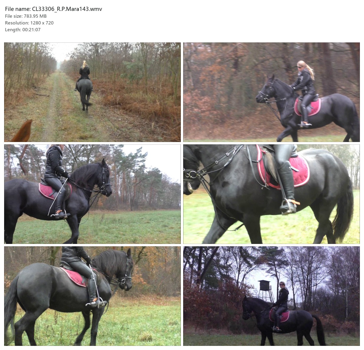 CL33306_R.P.Mara143.wmv_2x3.jpg