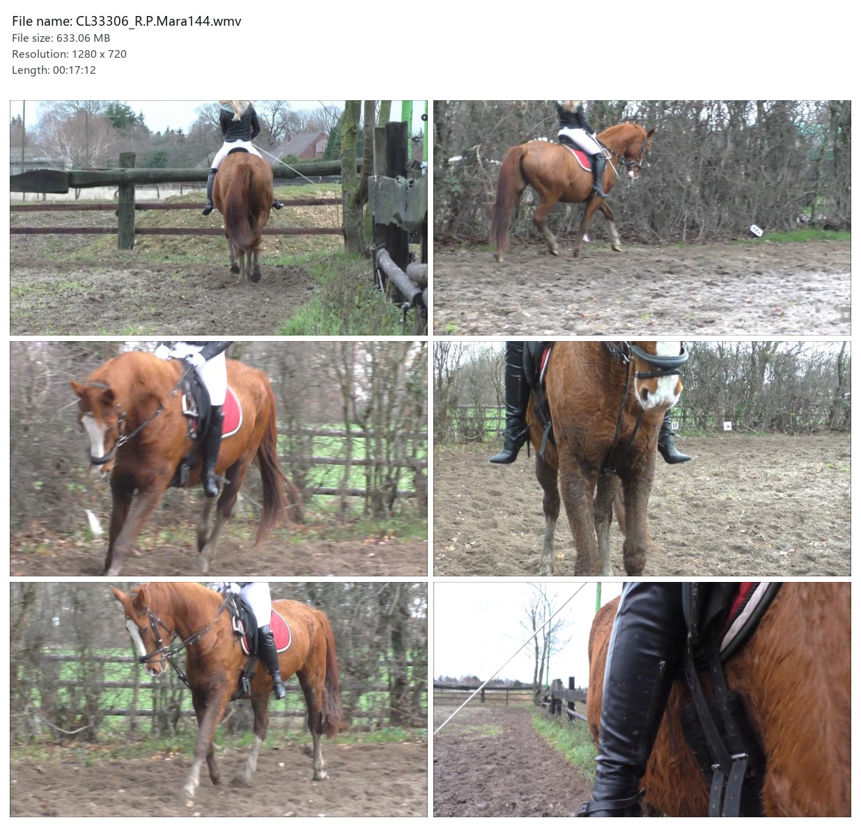 CL33306_R.P.Mara144.wmv_2x3.jpg
