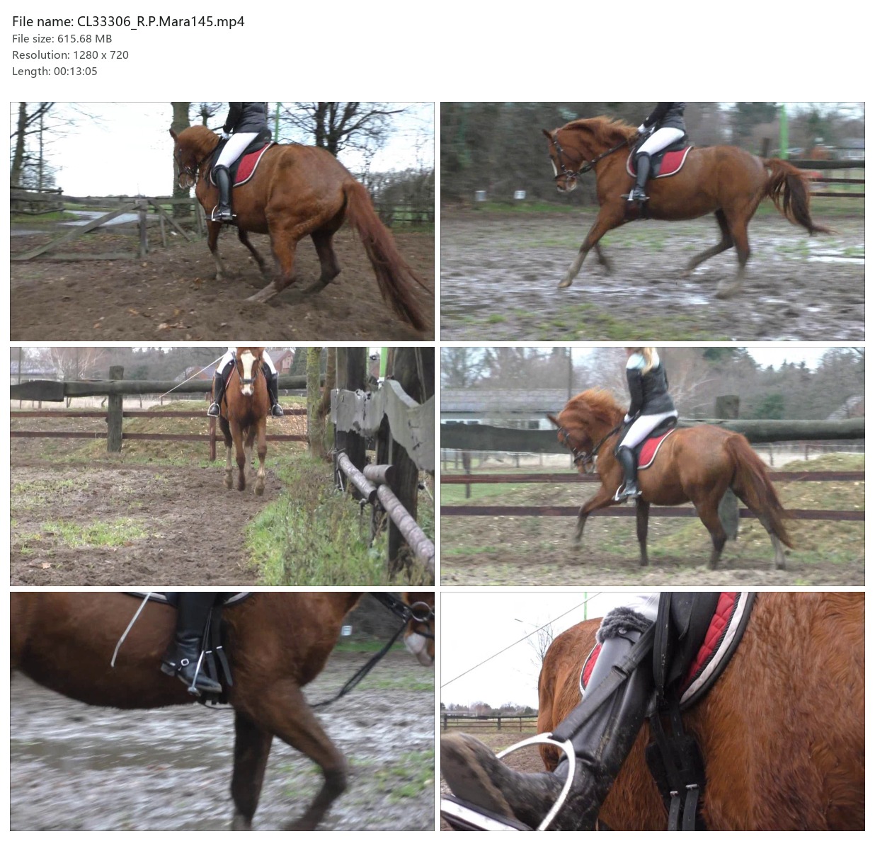 CL33306_R.P.Mara145.mp4_2x3.jpg