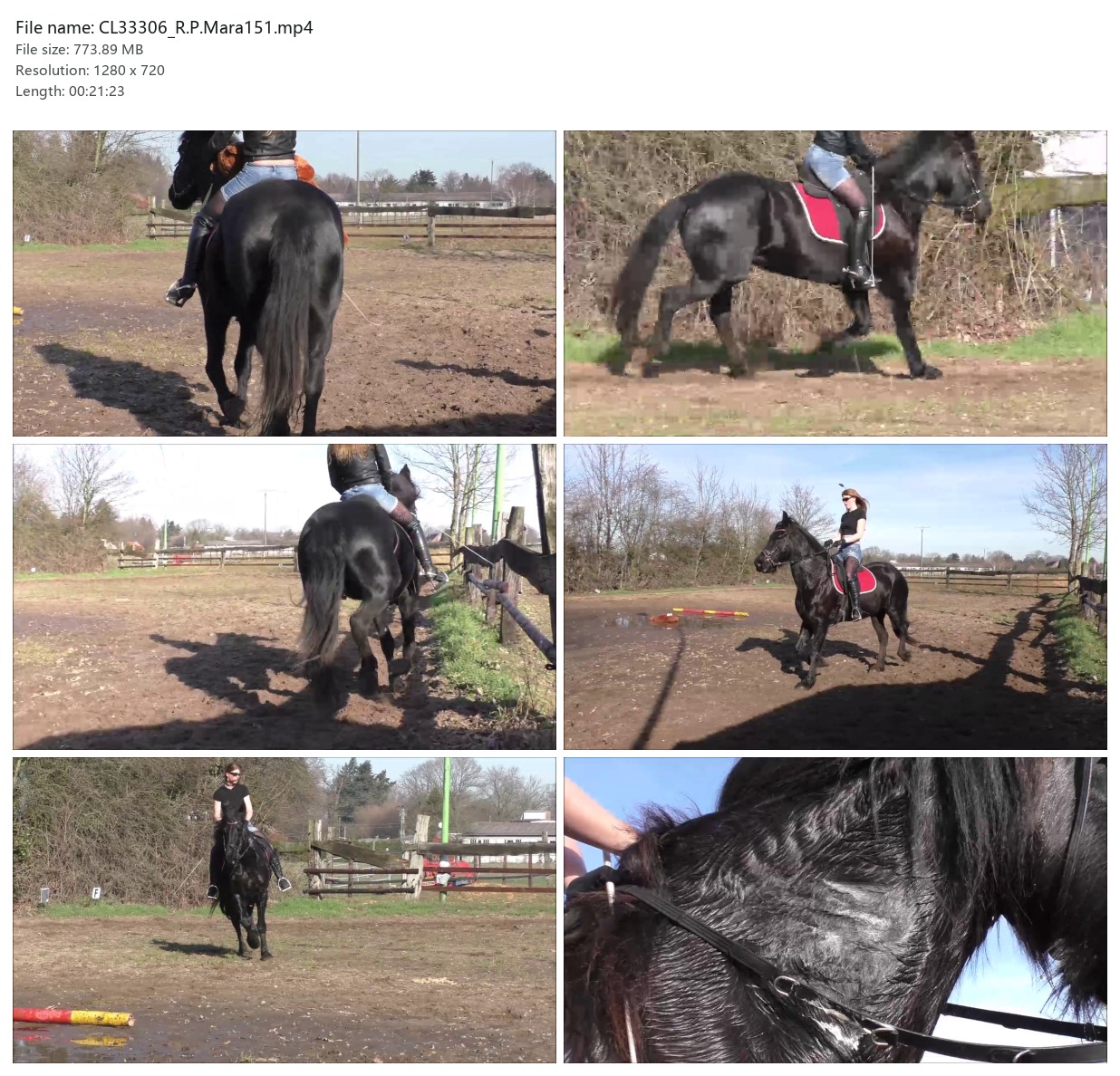 CL33306_R.P.Mara151.mp4_2x3.jpg