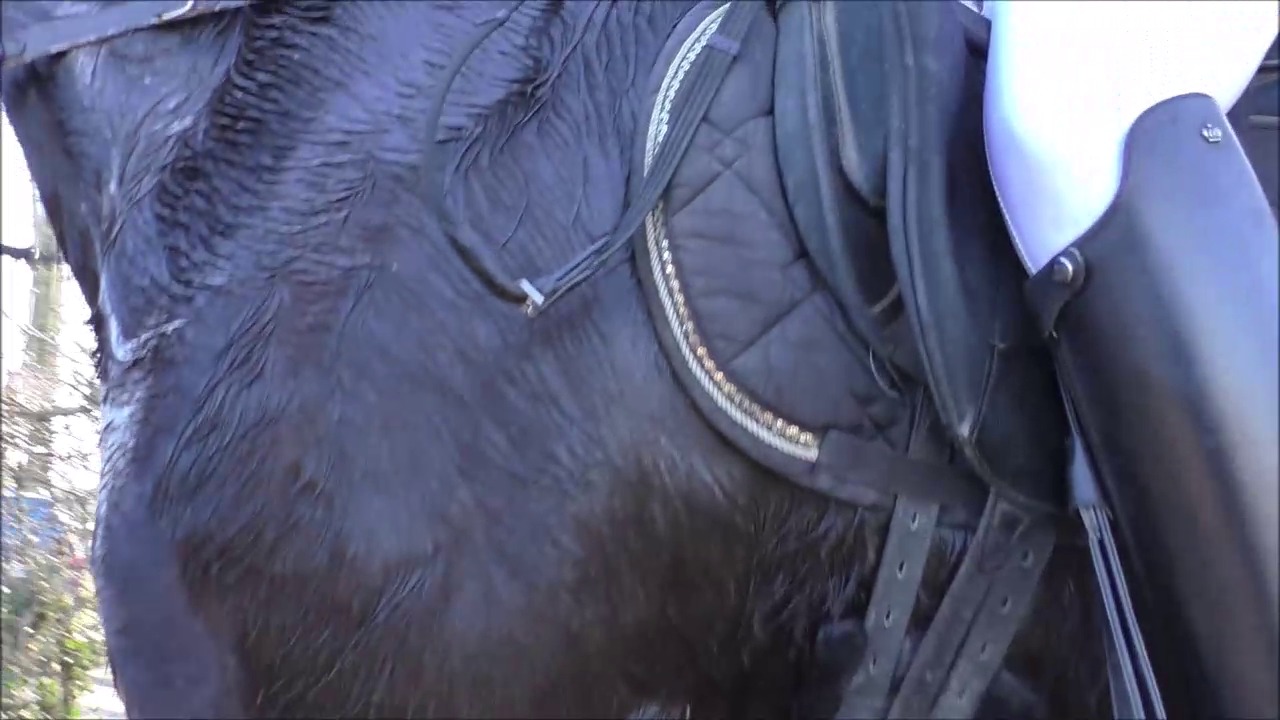 CL33306_R.P.Mara154.mp4_random_01.jpg