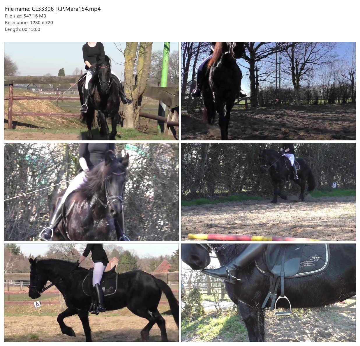 CL33306_R.P.Mara154.mp4_2x3.jpg