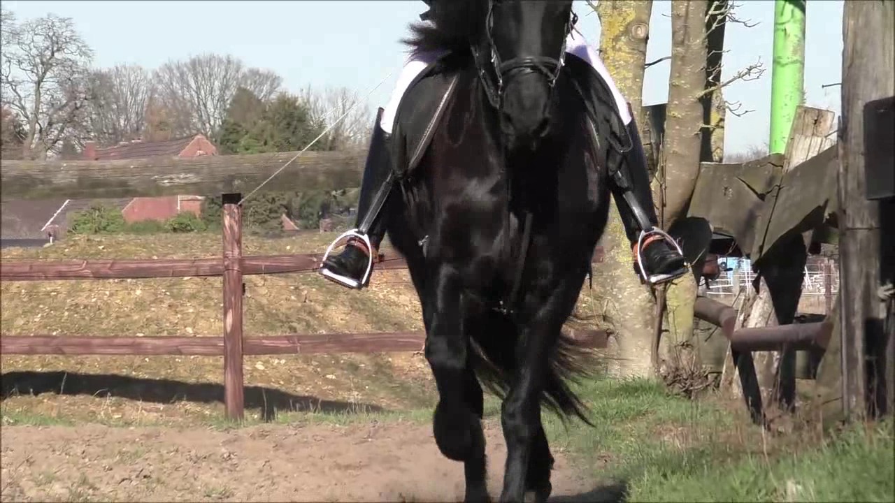CL33306 R.P.Mara156.mp4