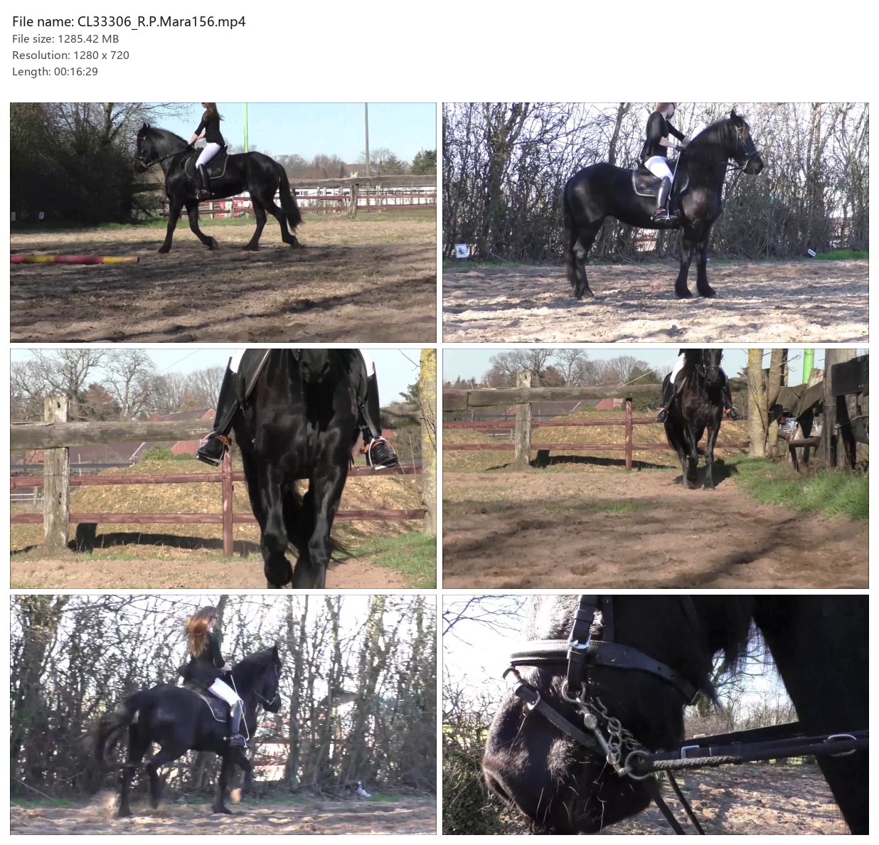 CL33306_R.P.Mara156.mp4_2x3.jpg