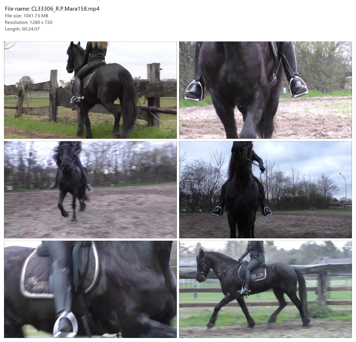 CL33306_R.P.Mara158.mp4_2x3.jpg