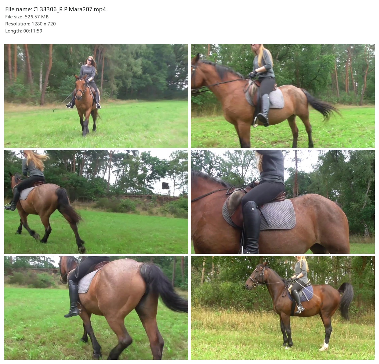 CL33306_R.P.Mara207.mp4_2x3.jpg