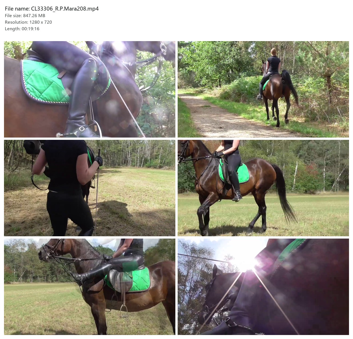 CL33306_R.P.Mara208.mp4_2x3.jpg