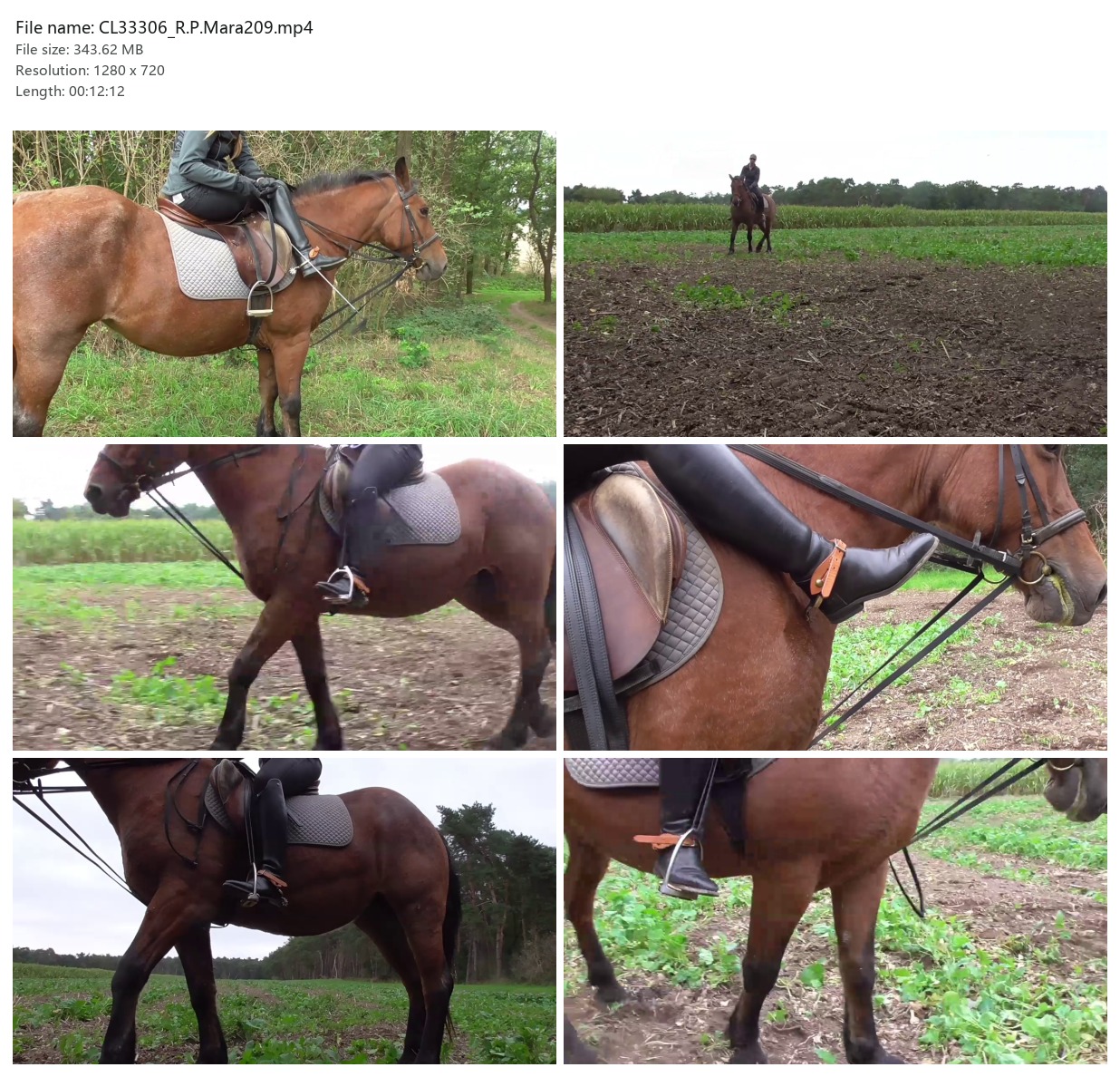 CL33306_R.P.Mara209.mp4_2x3.jpg