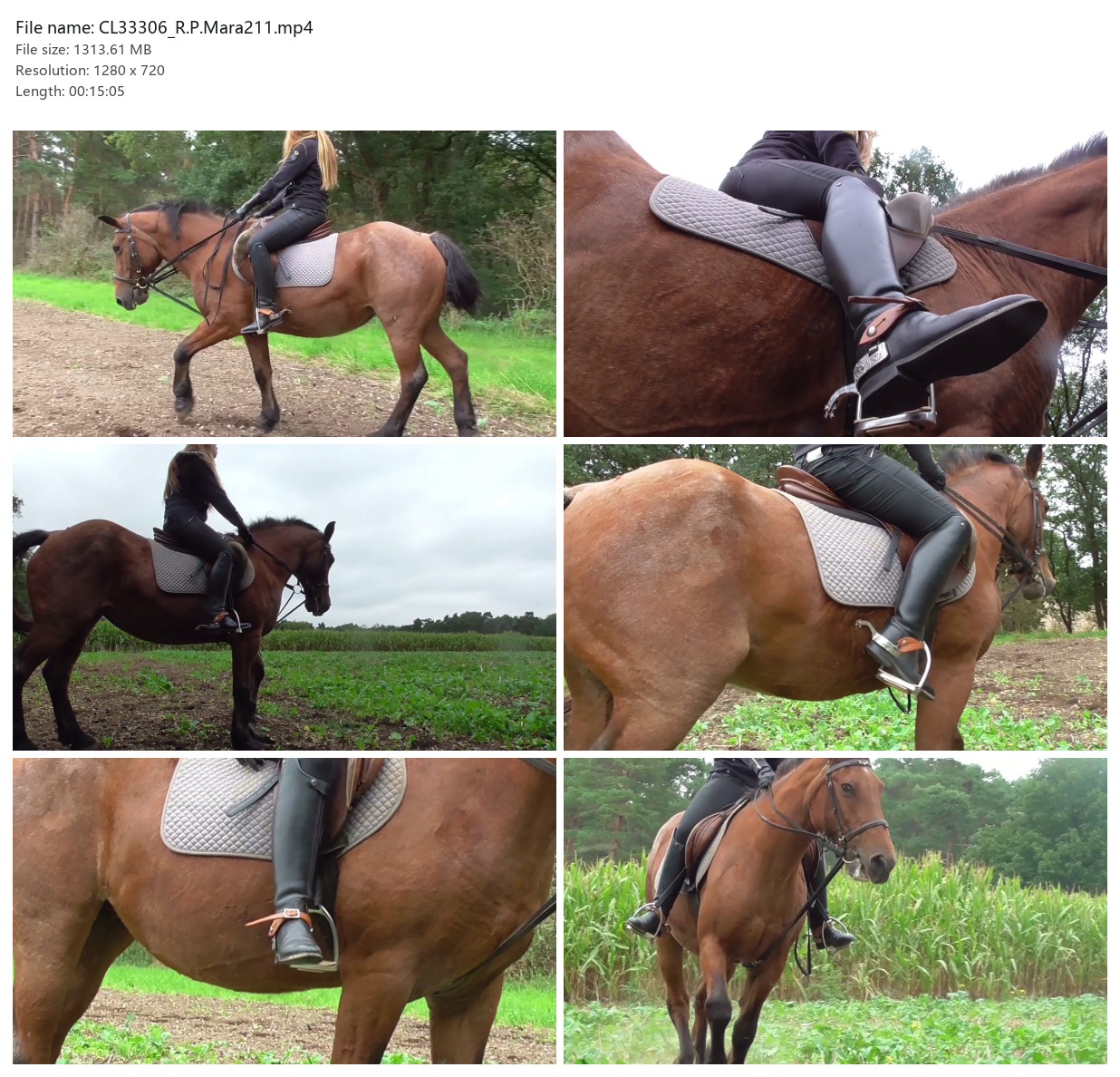 CL33306_R.P.Mara211.mp4_2x3.jpg