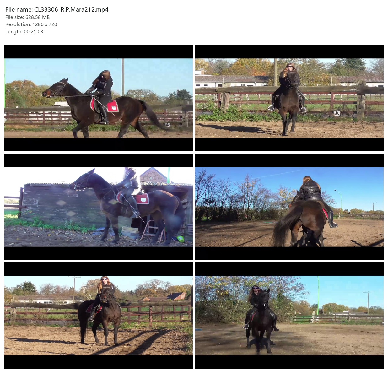 CL33306_R.P.Mara212.mp4_2x3.jpg