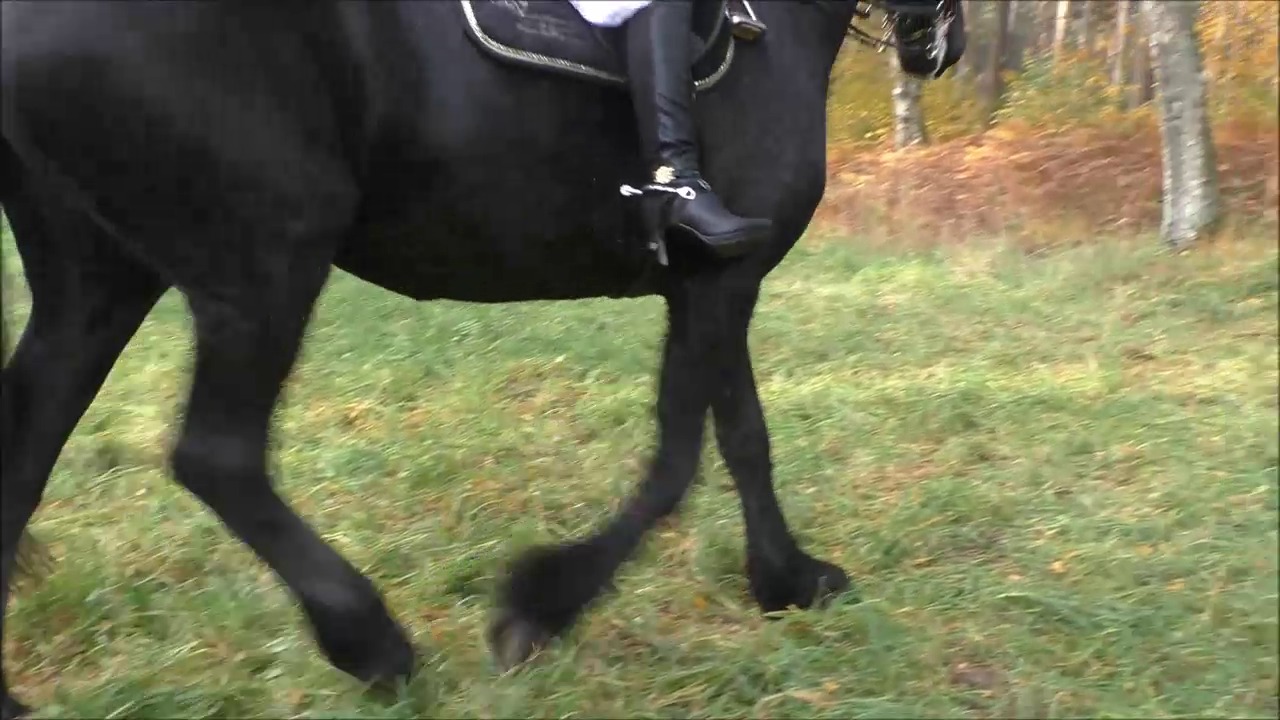 CL33306_RPMara015.mp4_random_01.jpg