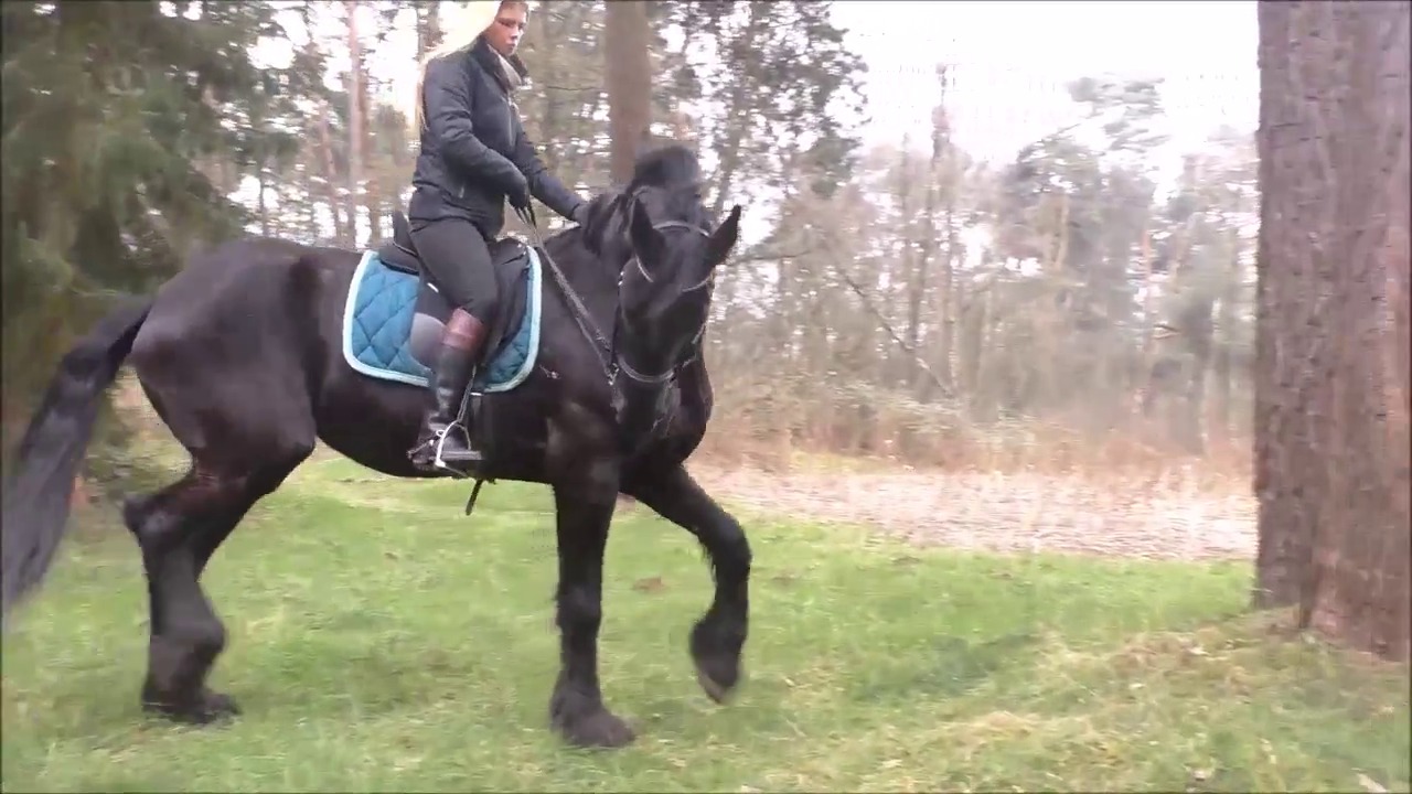 Mara01.mp4_random_01.jpg