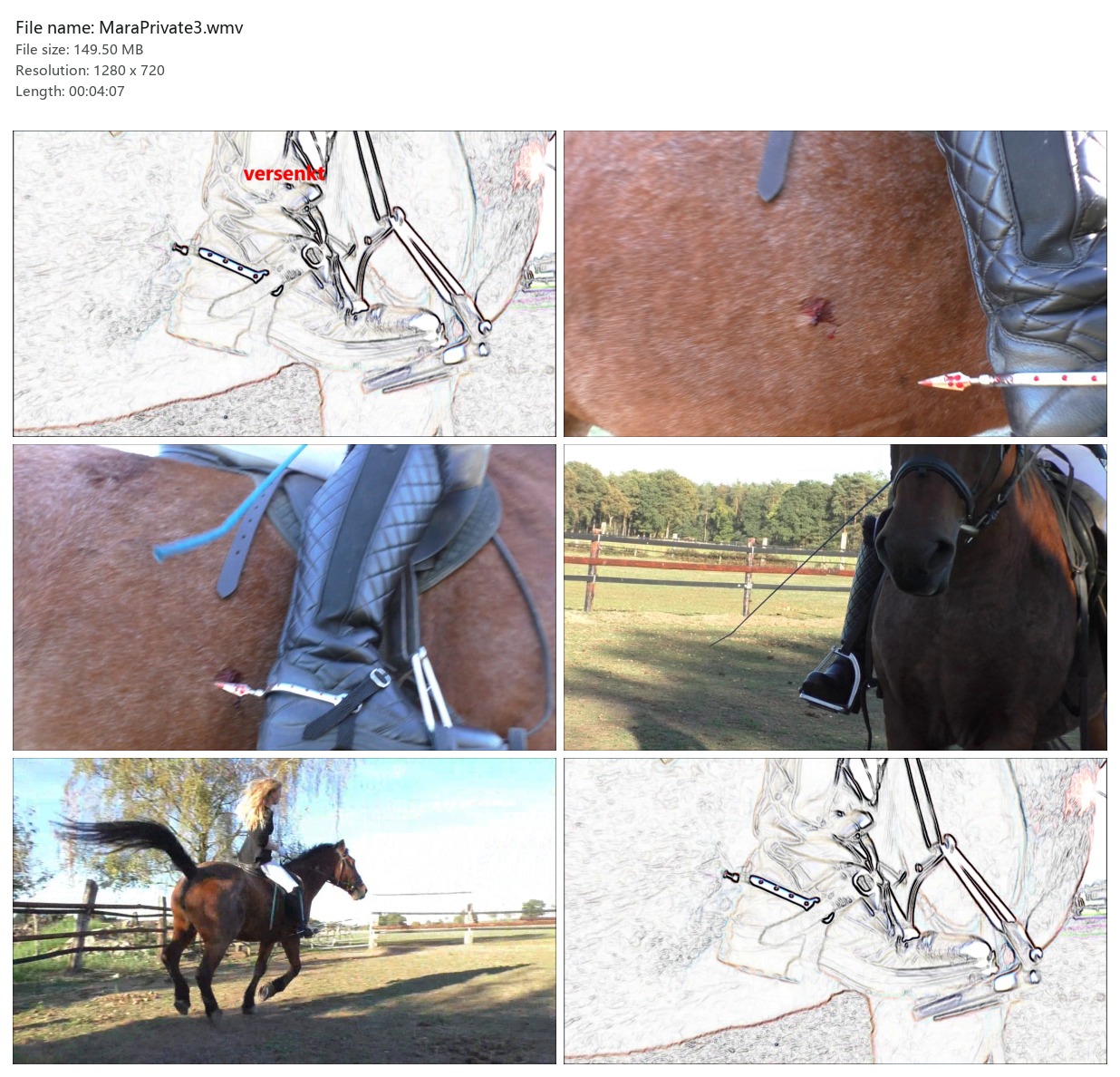 MaraPrivate3.wmv_2x3.jpg