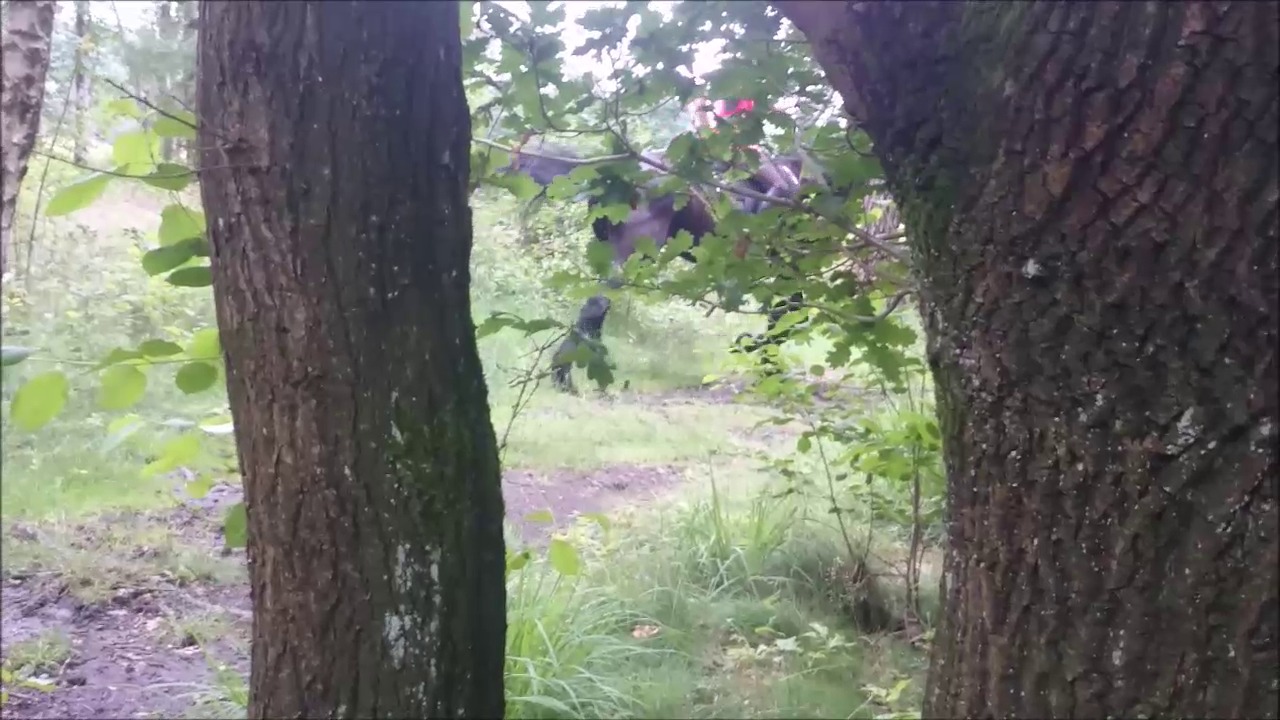 MaraPrivate5.mp4_random_01.jpg