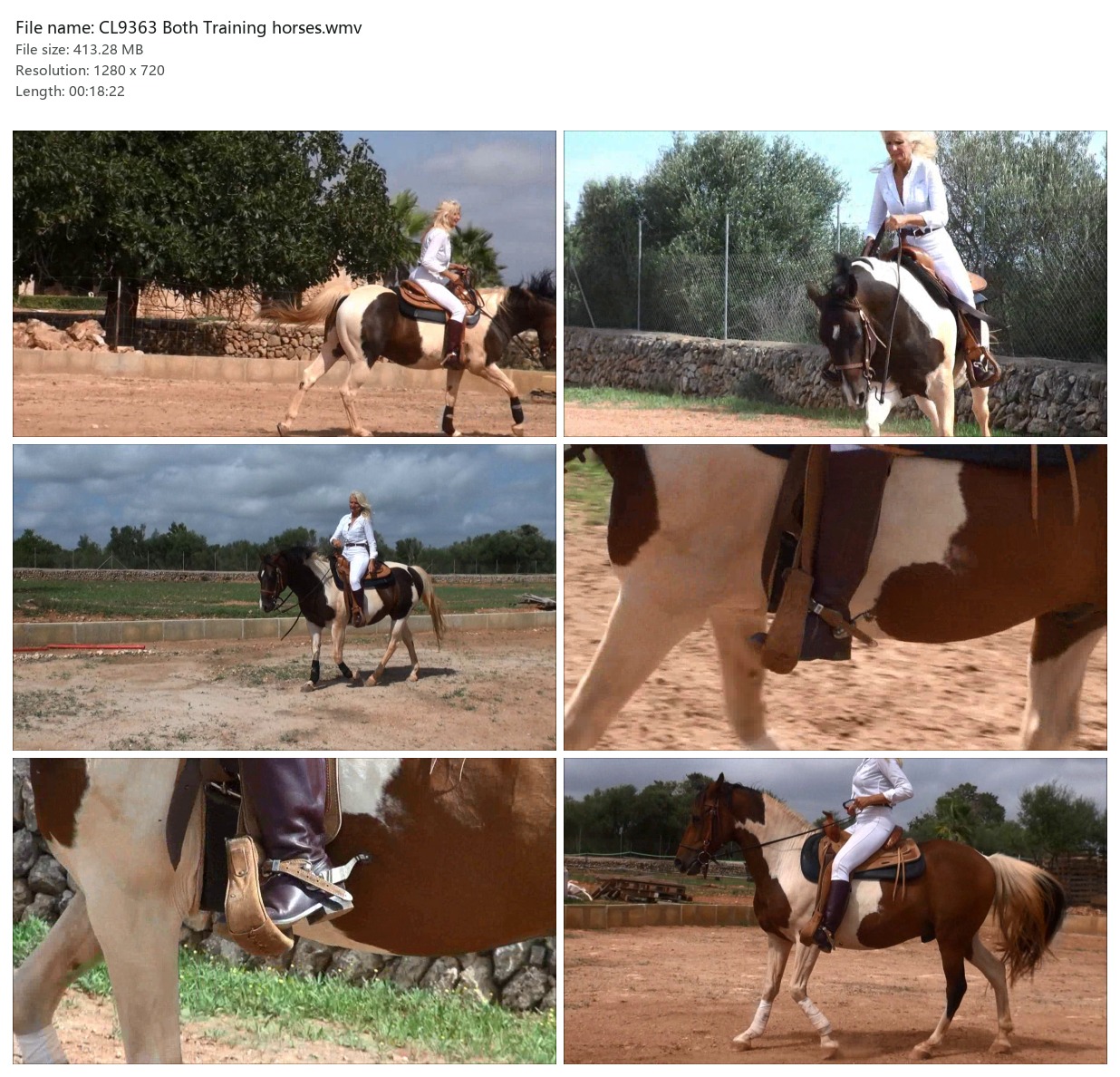 CL9363 Both Training horses.wmv_2x3.jpg