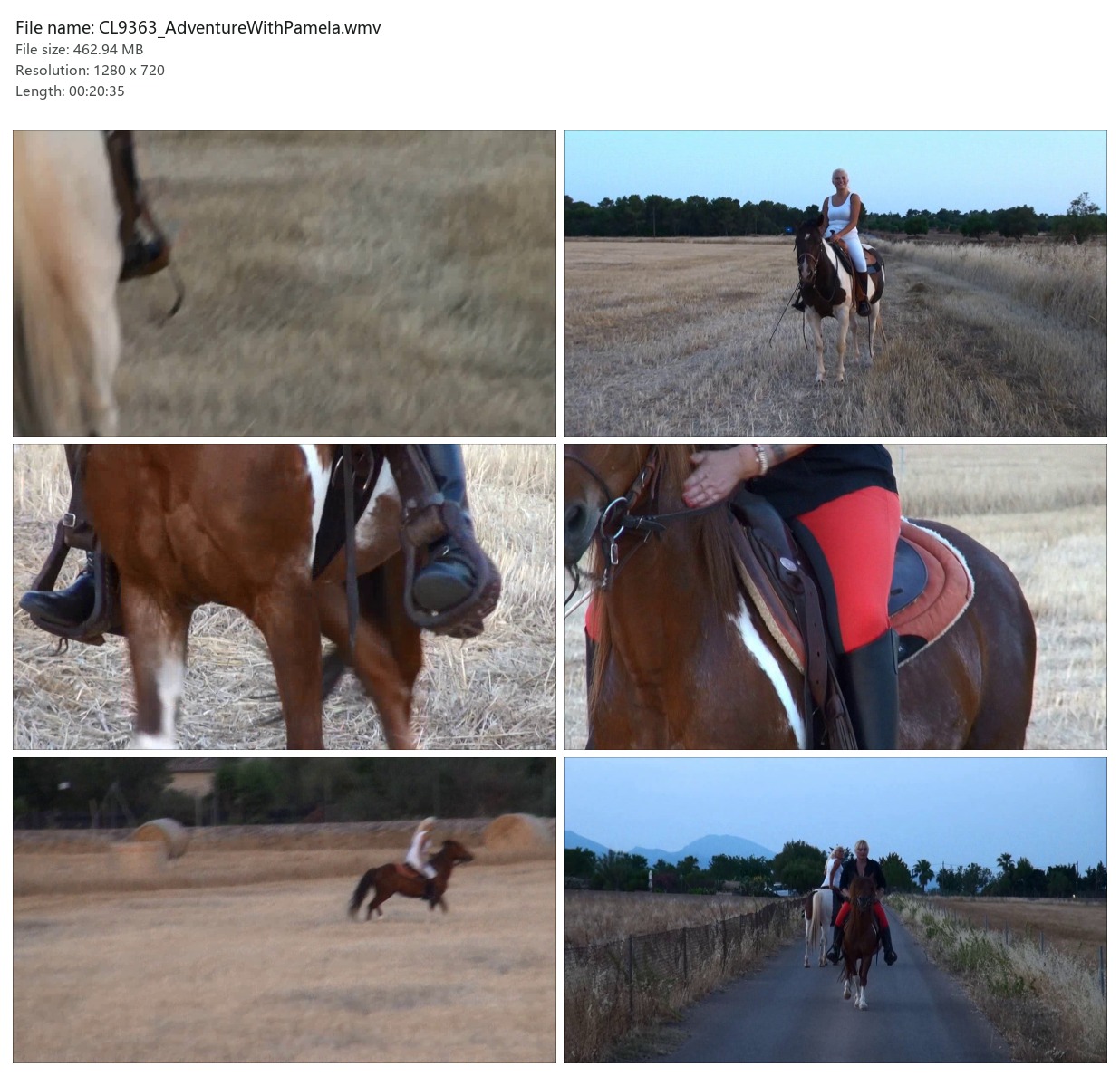 CL9363_AdventureWithPamela.wmv_2x3.jpg