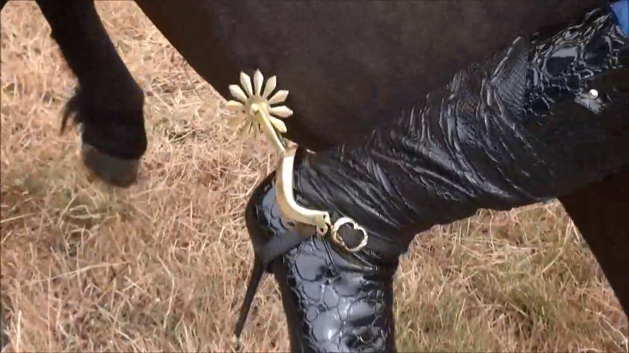 CL9363_BigSpursLittlePony__.mp4_random_01.jpg