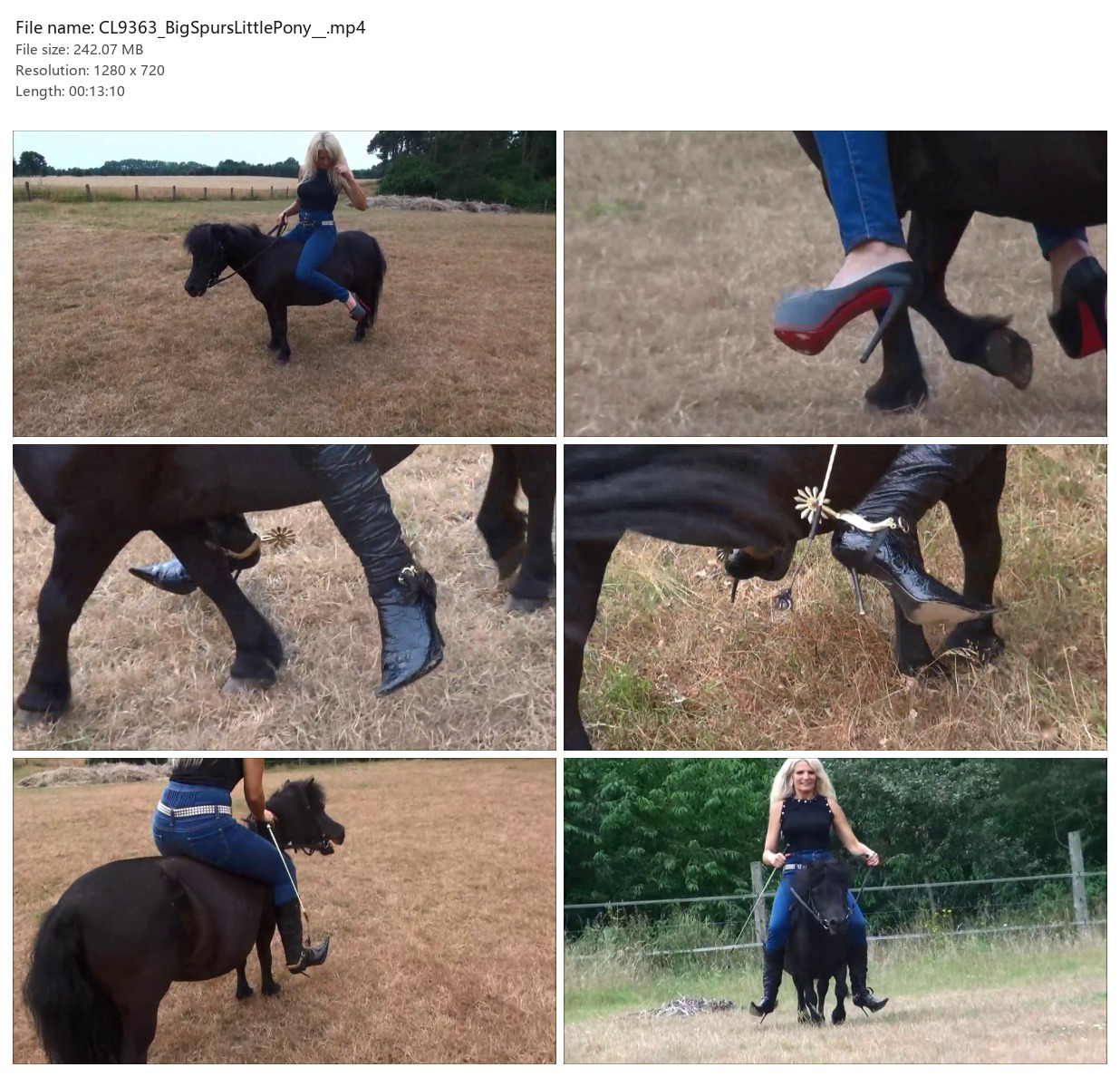 CL9363_BigSpursLittlePony__.mp4_2x3.jpg
