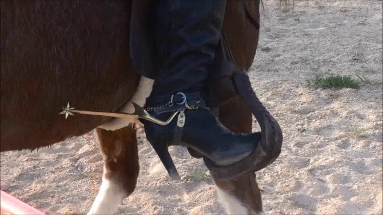 CL9363_BrownTrousersLongSpores.wmv_random_01.jpg