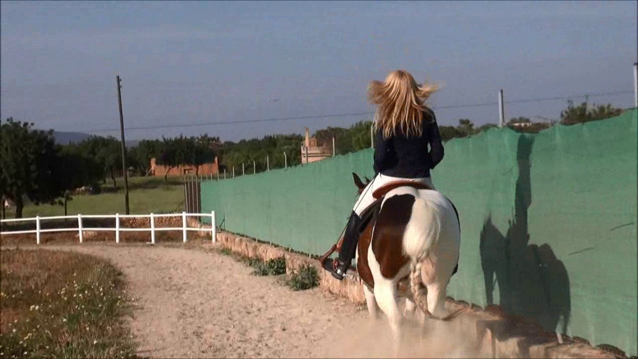 CL9363_ChexCavallo.wmv_random_01.jpg