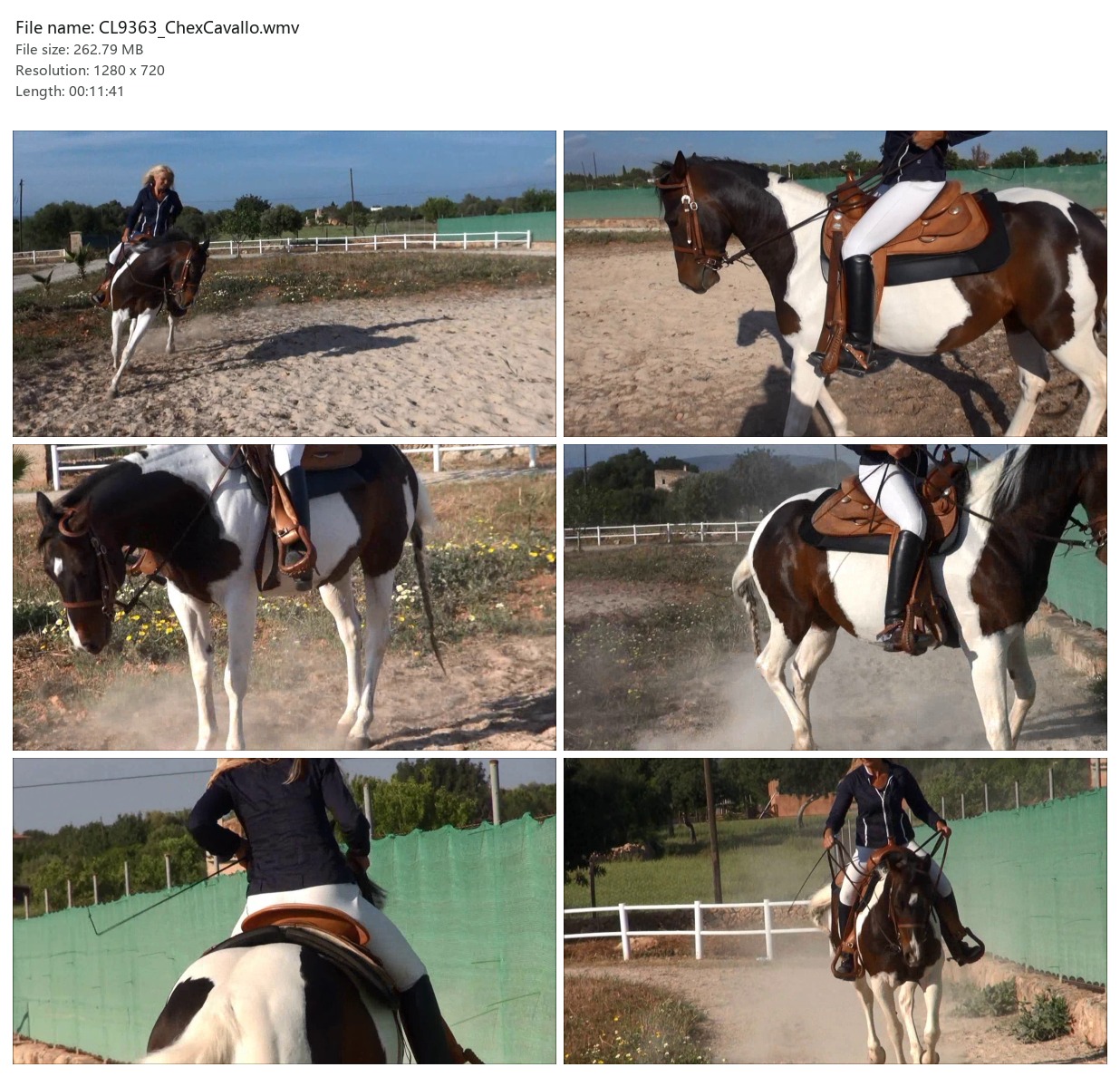 CL9363_ChexCavallo.wmv_2x3.jpg