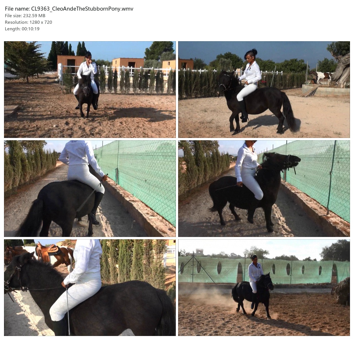 CL9363_CleoAndeTheStubbornPony.wmv_2x3.jpg