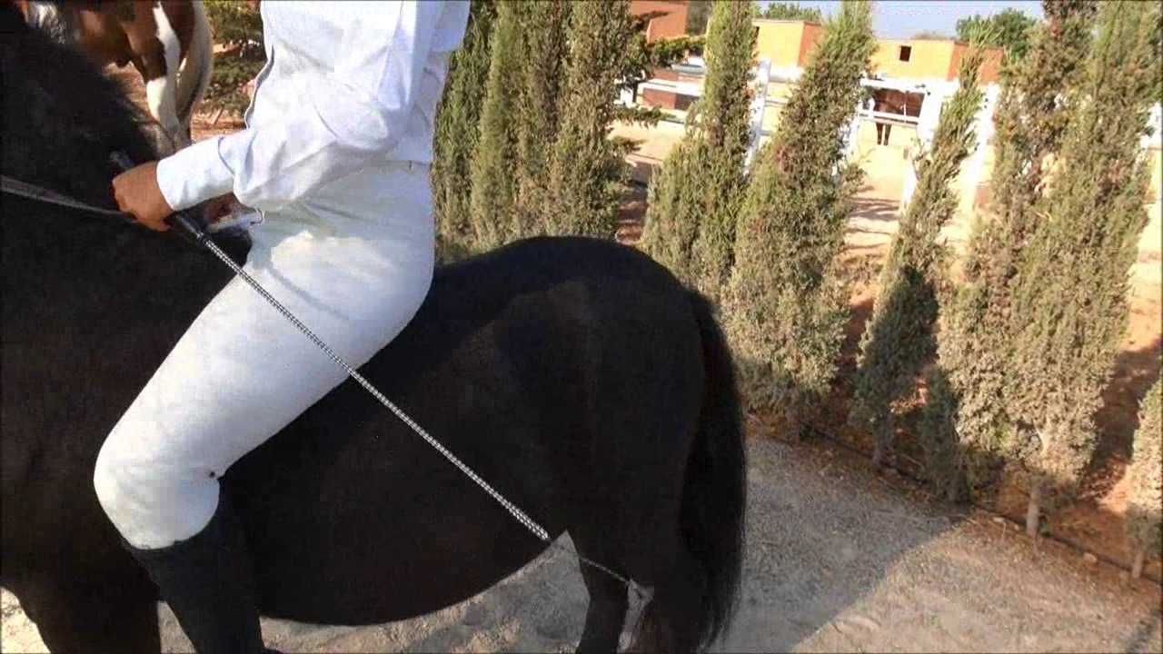CL9363_CleoAndeTheStubbornPony.wmv_random_01.jpg
