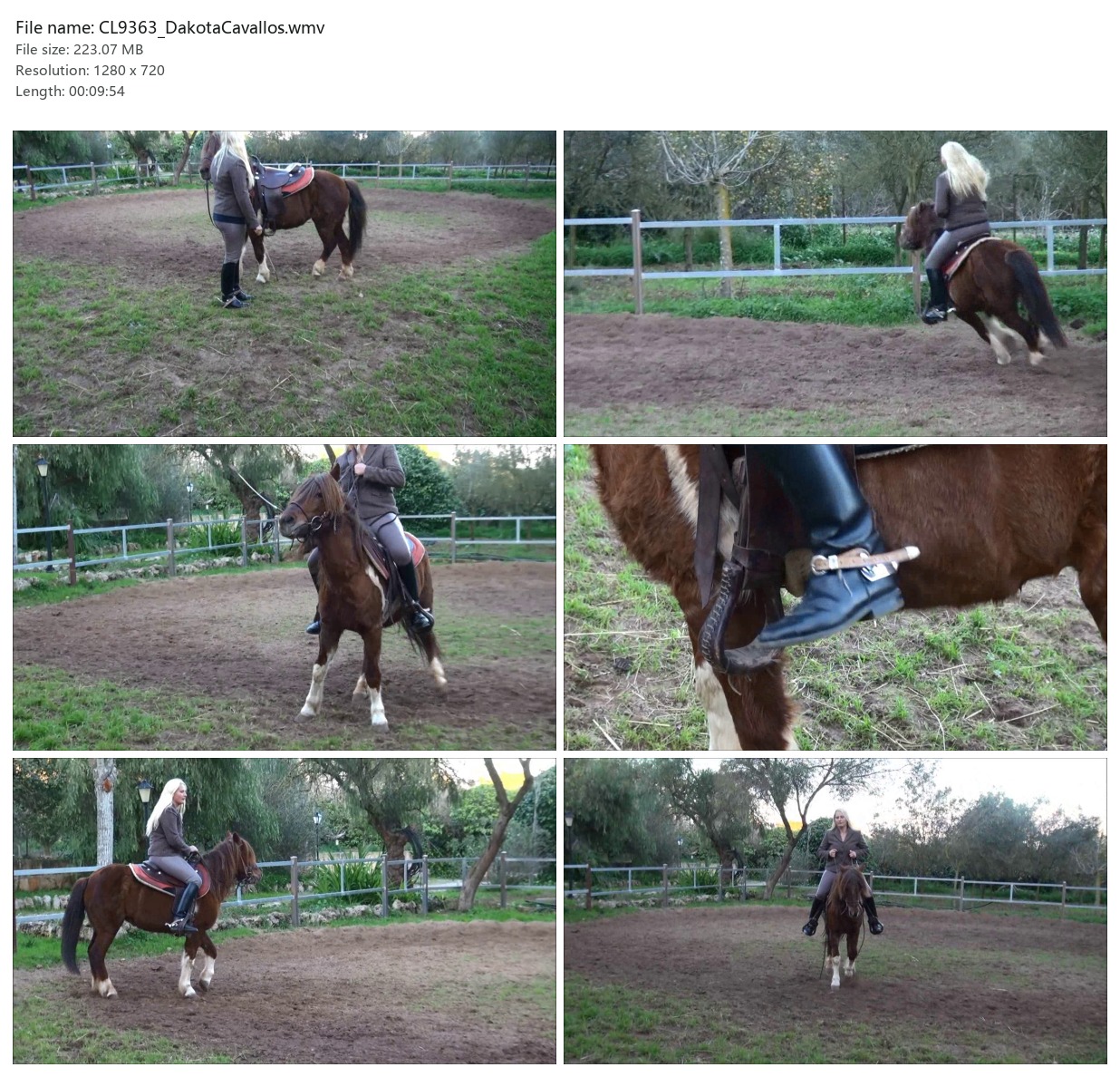 CL9363_DakotaCavallos.wmv_2x3.jpg