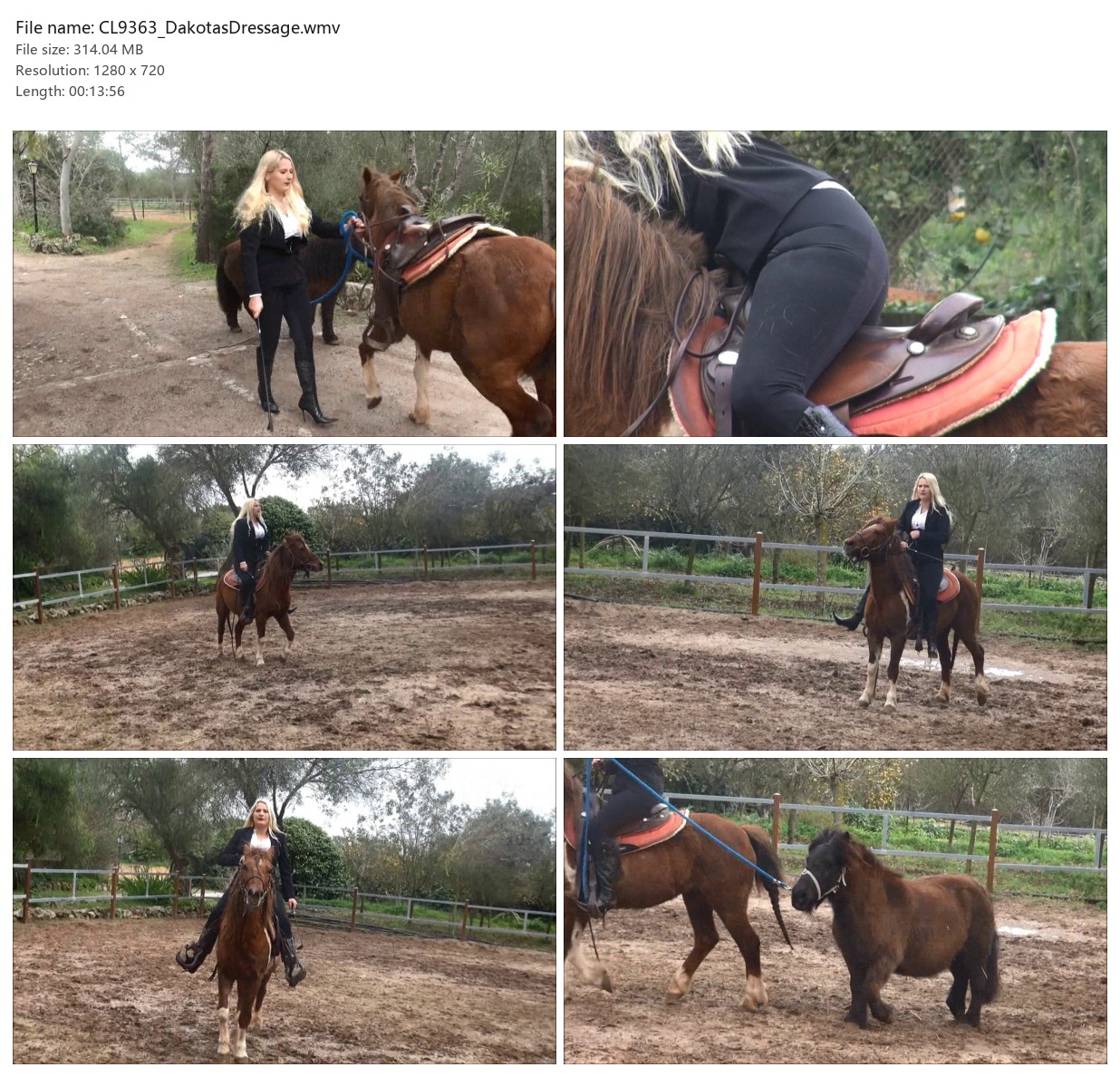 CL9363_DakotasDressage.wmv_2x3.jpg