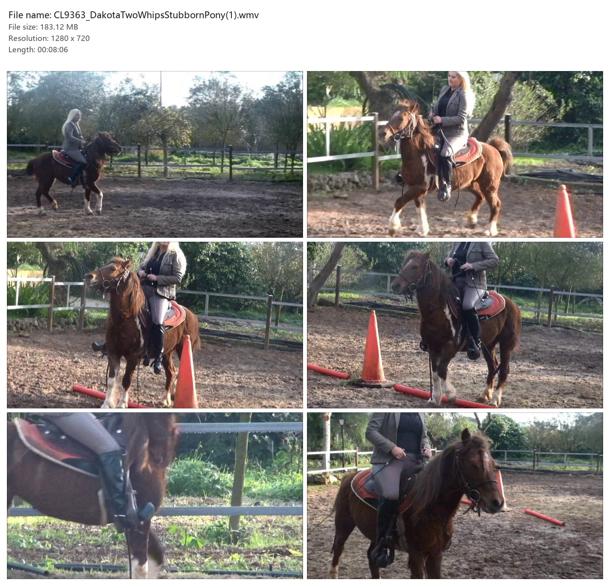 CL9363_DakotaTwoWhipsStubbornPony(1).wmv_2x3.jpg