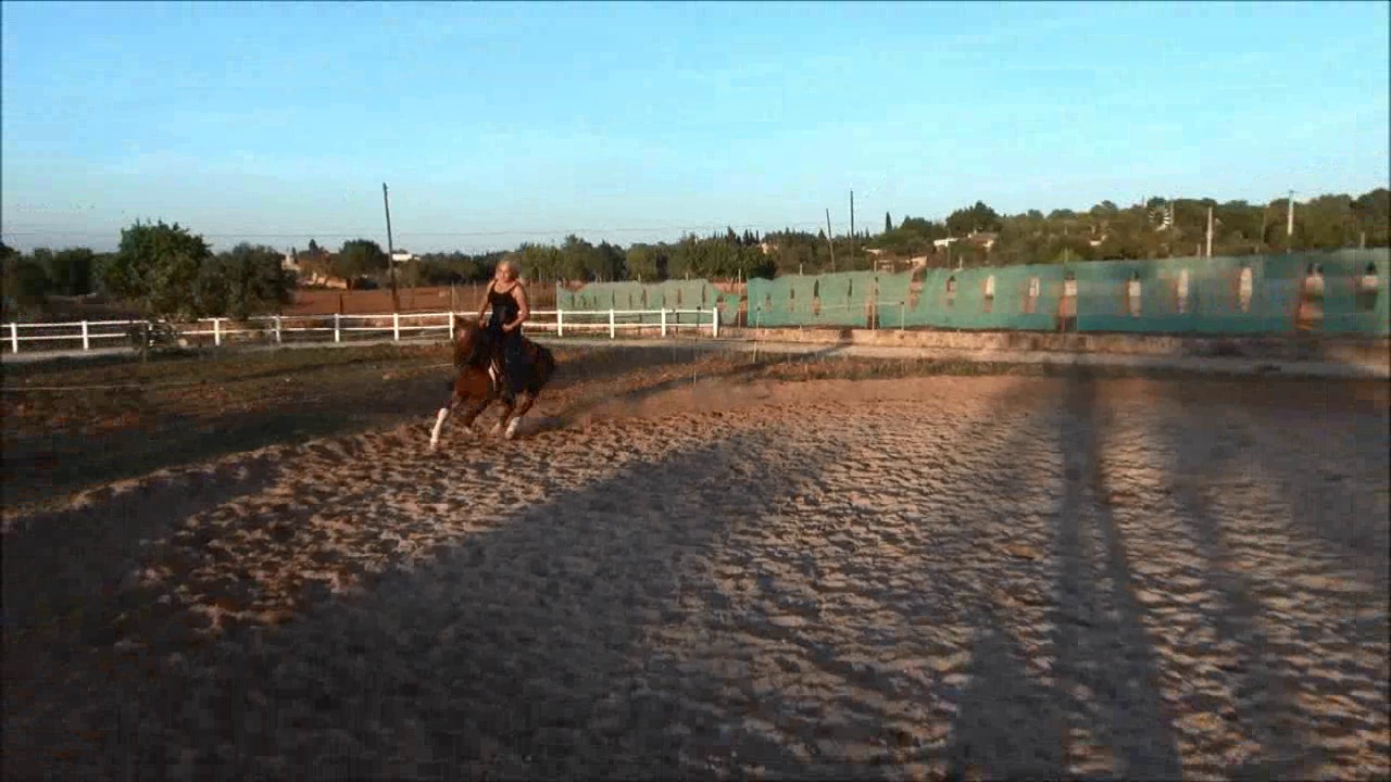 CL9363_DominateDakota.wmv_random_01.jpg