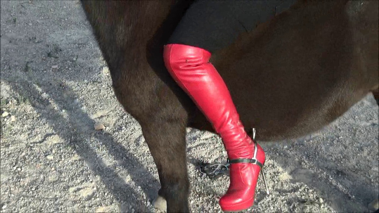 CL9363_HardridingOnALittlePony.wmv_random_01.jpg