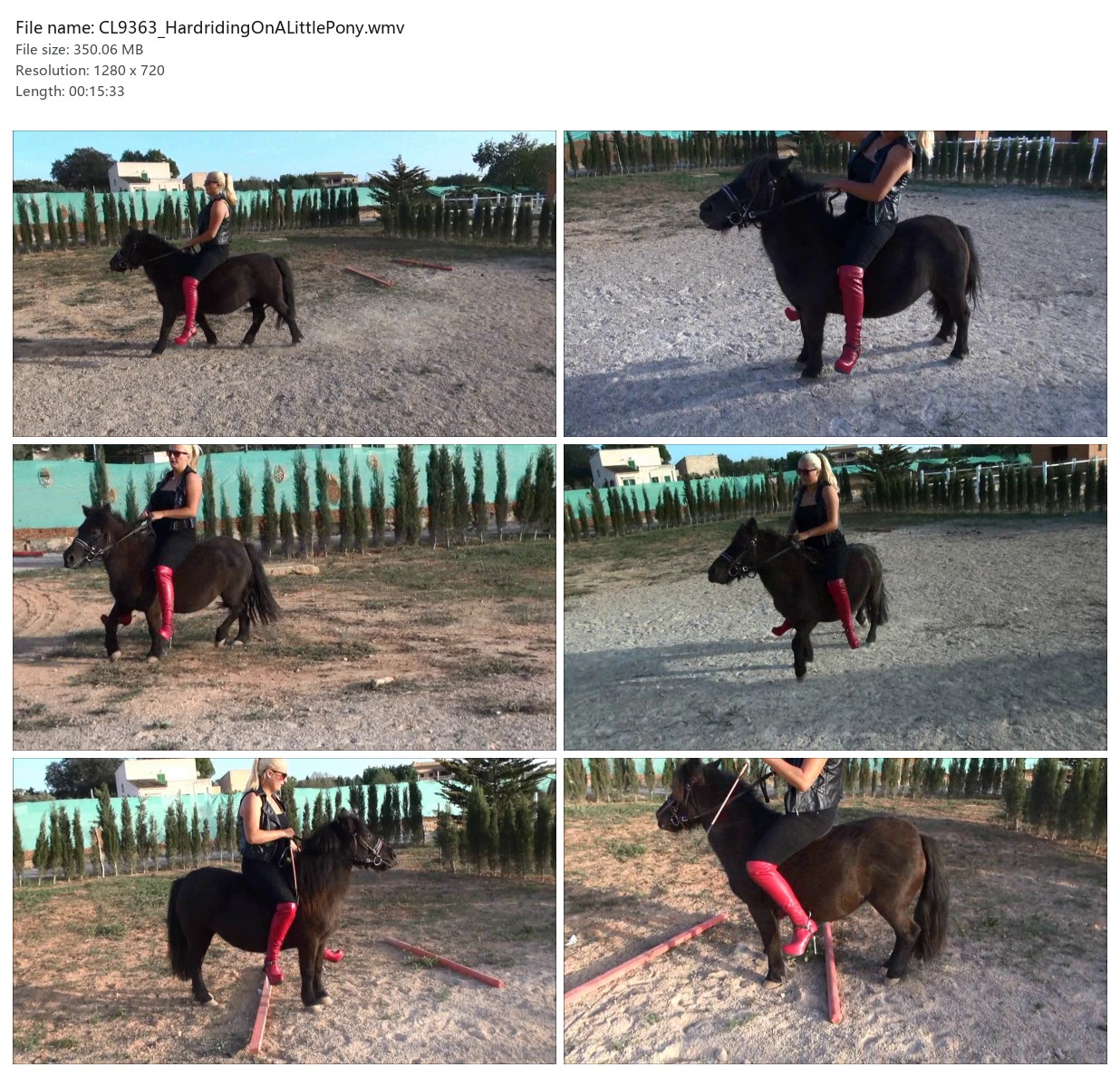 CL9363_HardridingOnALittlePony.wmv_2x3.jpg