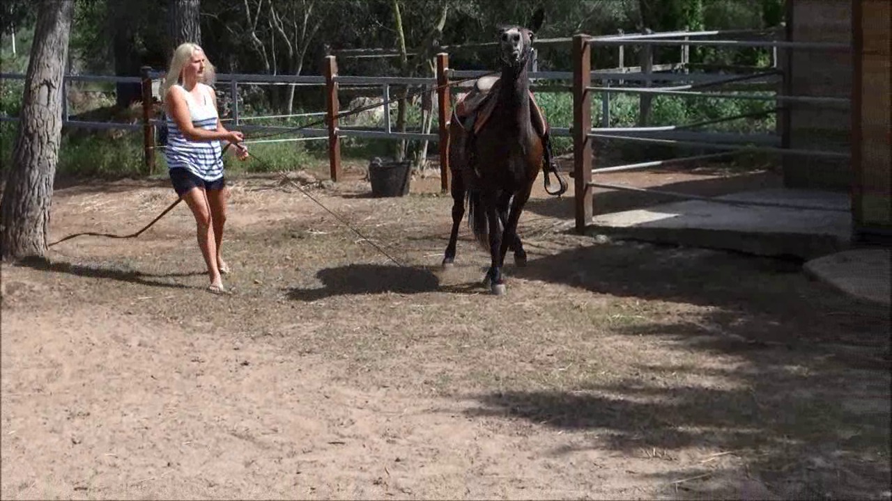 CL9363_lungingExtrem.wmv_random_01.jpg