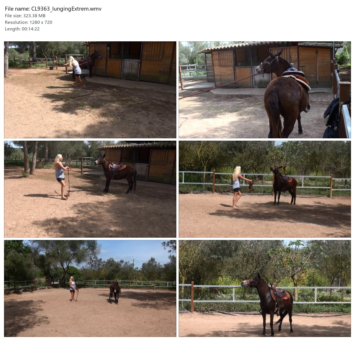 CL9363_lungingExtrem.wmv_2x3.jpg