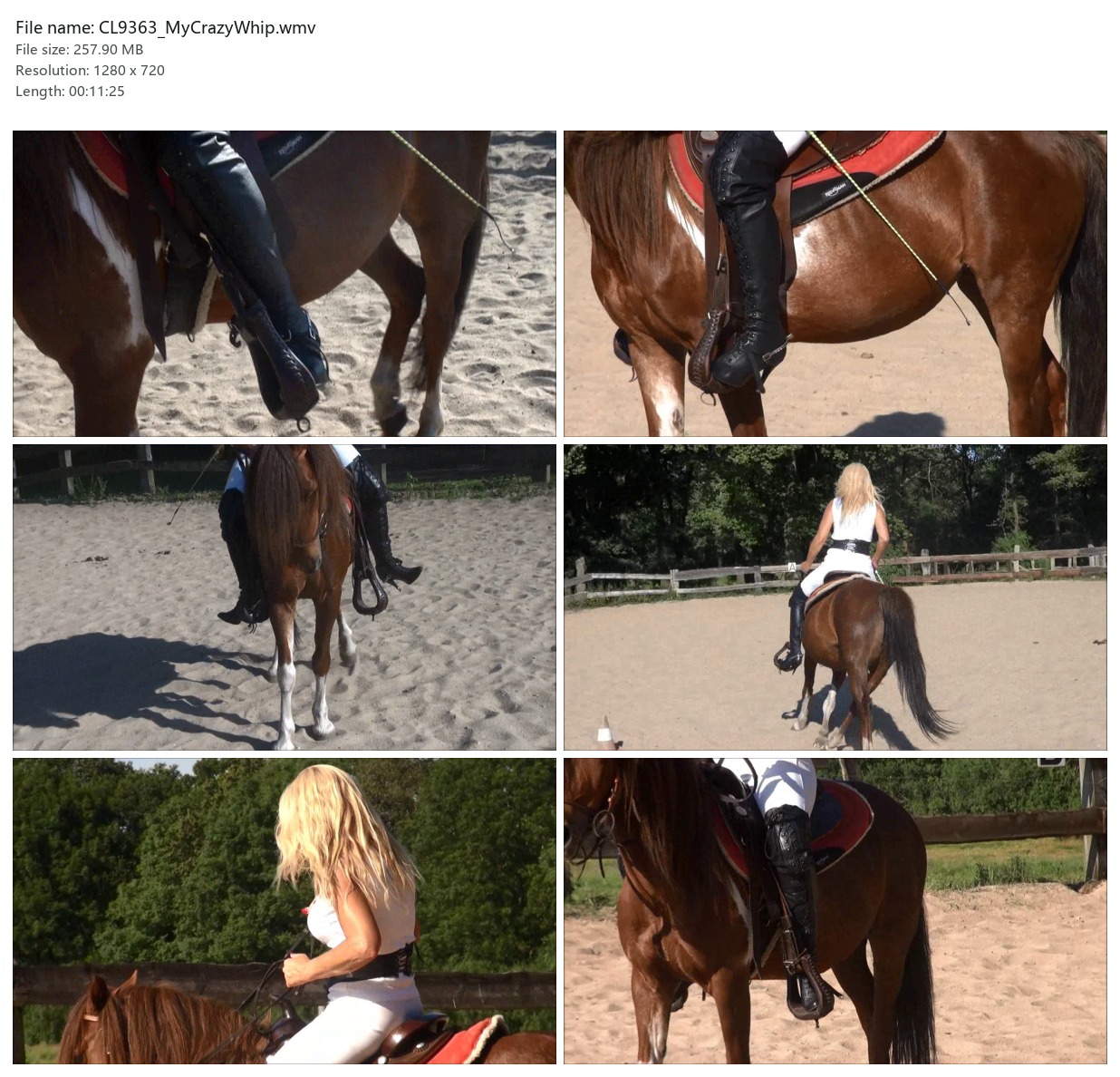 CL9363_MyCrazyWhip.wmv_2x3.jpg