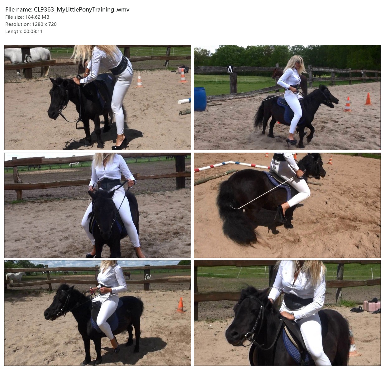 CL9363_MyLittlePonyTraining..wmv_2x3.jpg