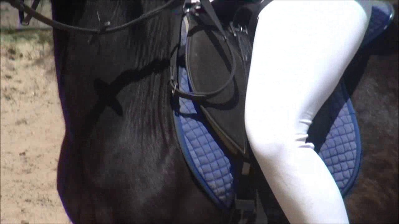 CL9363_MyLittlePonyTraining..wmv_random_01.jpg