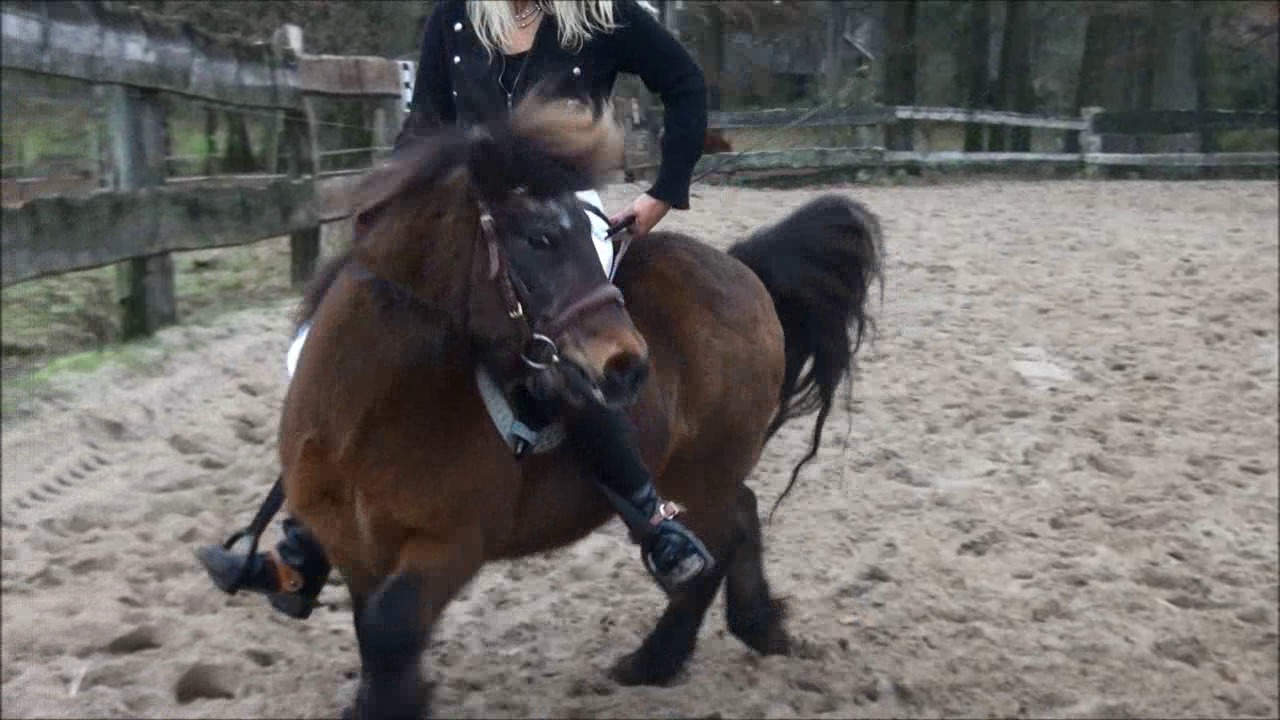 CL9363_MyLittleStoffel.wmv_random_01.jpg